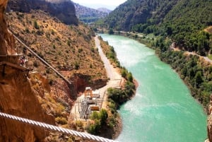 Fra Malaga: Grupperejse til Caminito del Rey