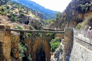 From Malaga: Group Tour to Caminito del Rey