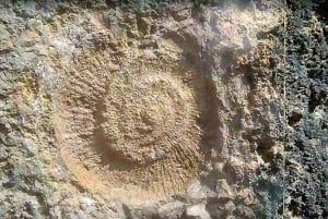 From Malaga: Group Tour to Caminito del Rey