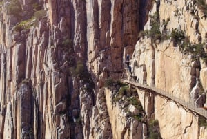 From Malaga: Guided tour Caminito del Rey + Round trip Transportation