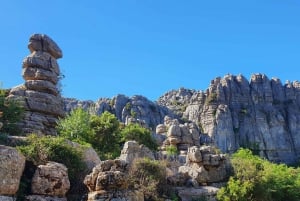 Depuis Malaga : visite guidée de Torcal de Antequera et des dolmens