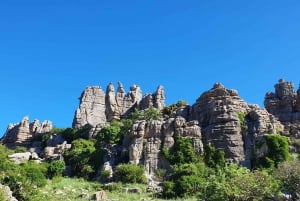 Málagasta: Opastettu kierros Torcal de Antequerassa ja dolmenit