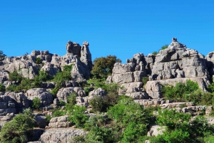 From Málaga: Guided Tour of Torcal de Antequera and Dolmens