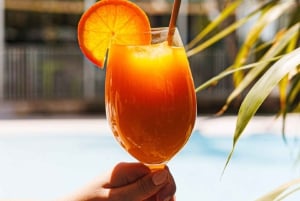 Von Málaga: Higuerón Spa & Fine Dining – Luxus-Tesla X