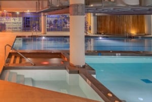 Von Málaga: Luxuriöses Higuerón Spa mit Tesla-X-Transfer