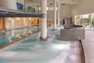 Von Málaga: Luxuriöses Higuerón Spa mit Tesla-X-Transfer