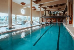 Von Málaga: Luxuriöses Higuerón Spa mit Tesla-X-Transfer