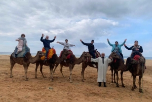 From Malaga: luxury private tour from Malaga to Tangier