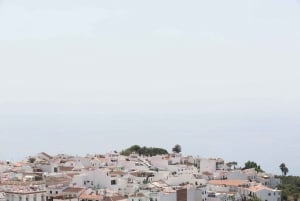 Desde Málaga: Excursión a Nerja y Frigiliana