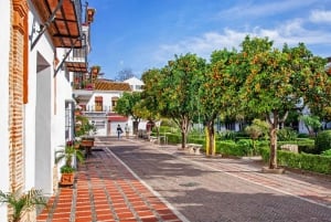 De Málaga ou Costa del Sol: Mijas, Marbella e Puerto Banus