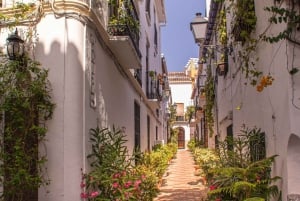 Fra Malaga eller Costa del Sol: Mijas, Marbella og Puerto Banus