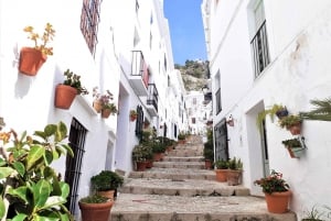Desde Málaga o Marbella: Excursión de un día a Nerja y Frigiliana
