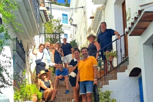 From Malaga or Marbella: Nerja & Frigiliana Day Tour