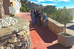 From Malaga or Marbella: Nerja & Frigiliana Day Tour