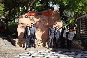 From Malaga or Marbella: Nerja & Frigiliana Day Tour