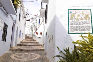 From Malaga or Marbella: Nerja & Frigiliana Day Tour