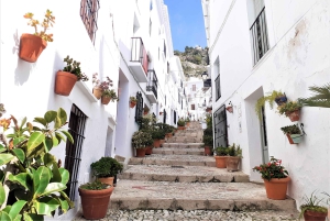 From Malaga or Marbella: Nerja & Frigiliana Day Tour