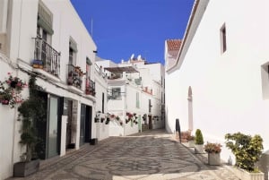 From Malaga or Marbella: Nerja & Frigiliana Day Tour