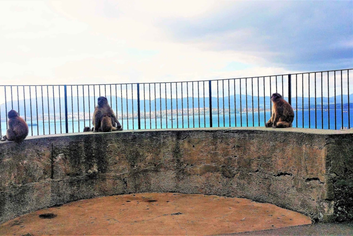 Depuis Malaga ou Marbella : Visite privée de Gibraltar