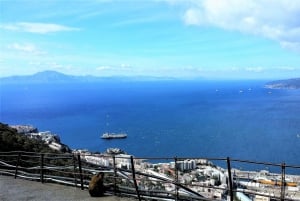 Depuis Malaga ou Marbella : Visite privée de Gibraltar