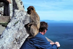 Depuis Malaga ou Marbella : Visite privée de Gibraltar