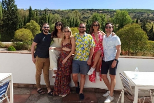 Desde Málaga o Marbella: Ronda de viaje de un día privado