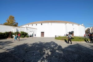 Von Malaga oder Marbella: Ronda Private Day Trip