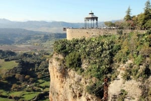 De Malaga ou Marbella: excursion privée d'une journée à Ronda
