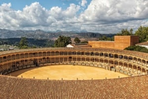 From Malaga or Marbella: Ronda Private Day Trip
