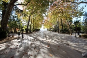 From Malaga or Marbella: Ronda Private Day Trip