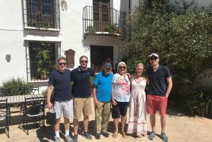 From Malaga or Marbella: Ronda Private Day Trip