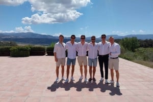 From Malaga or Marbella: Ronda Private Day Trip