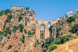 From Malaga or Marbella: Ronda Private Day Trip