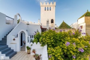 De Málaga ou Tarifa: Excursão privada de um dia a Tânger