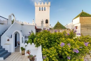 From Malaga or Tarifa: Private Tangier Day Tour