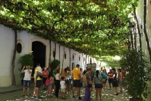 From Malaga or Torremolinos: Jerez de la Frontera Full Day