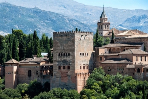 From Malaga: Private Alhambra Palace and Granada Day Trip