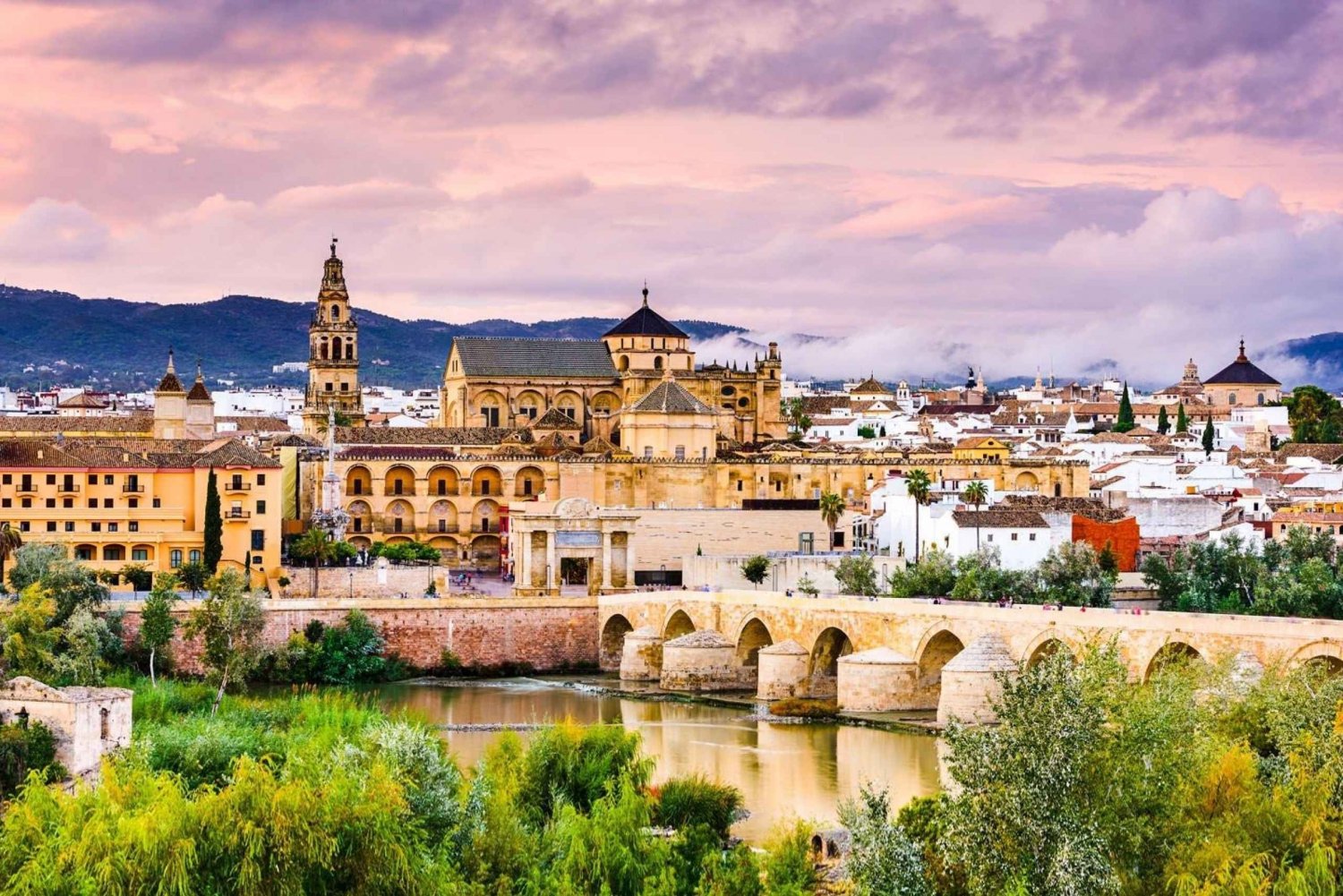 De Málaga: Passeio particular de um dia para Córdoba, Mesquita e Catedral