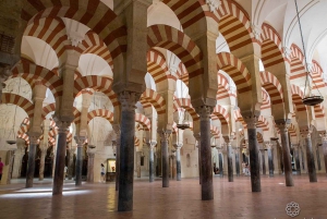 Fra Malaga: Privat dagstur til Cordoba, moské og katedral