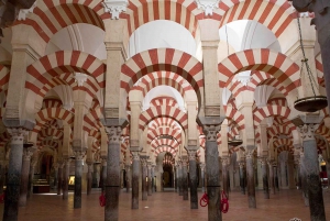 Fra Malaga: Privat dagstur til Cordoba, moské og katedral