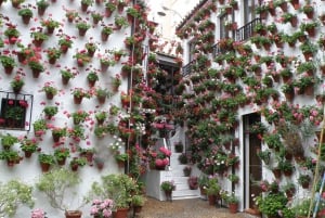 De Málaga: Passeio particular de um dia para Córdoba, Mesquita e Catedral