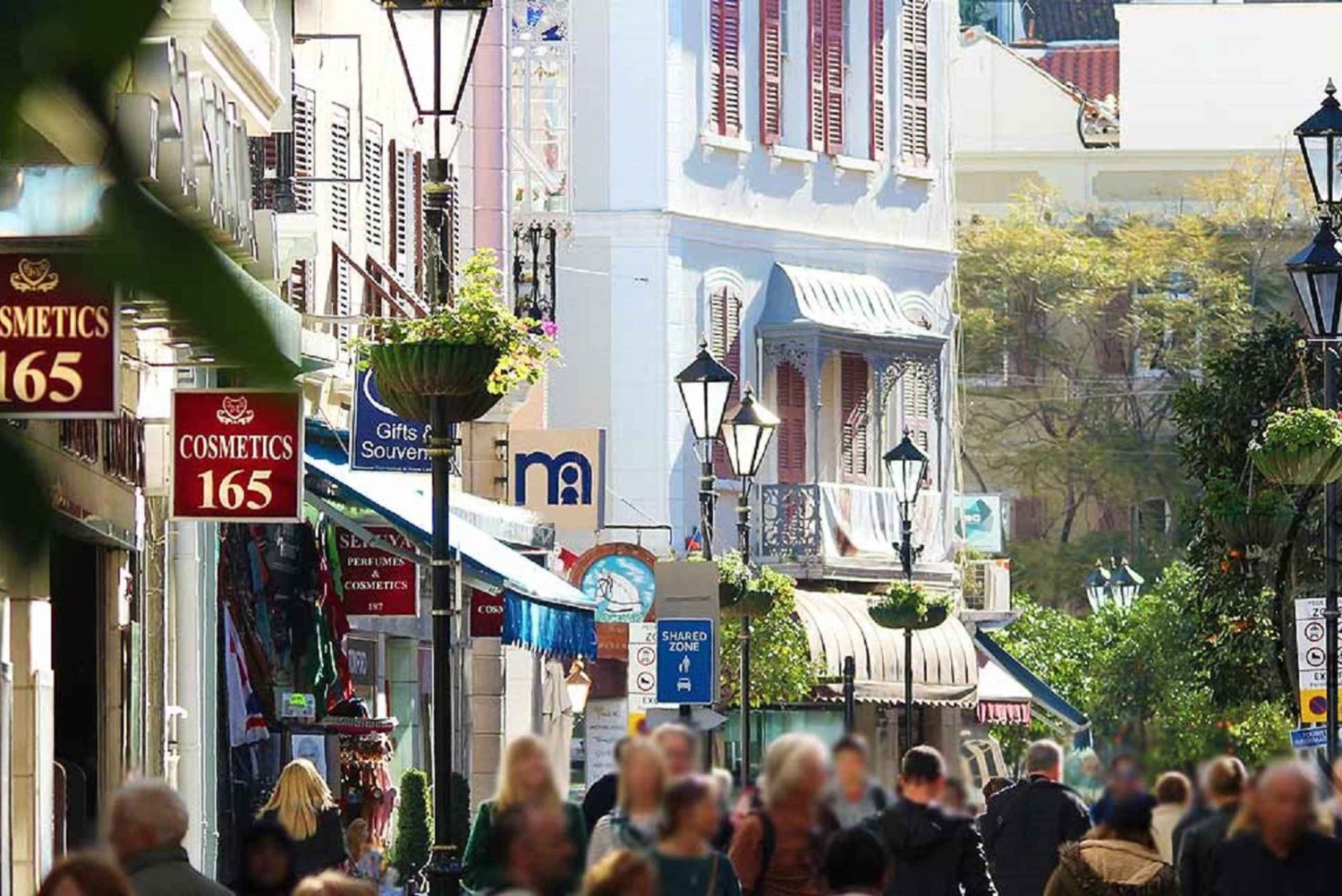 From Malaga: Private day trip to the Rock of Gibraltar