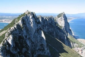 Fra Malaga: Privat dagstur til Gibraltarklippen
