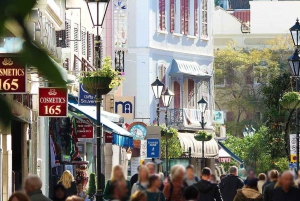 From Malaga: Private day trip to the Rock of Gibraltar