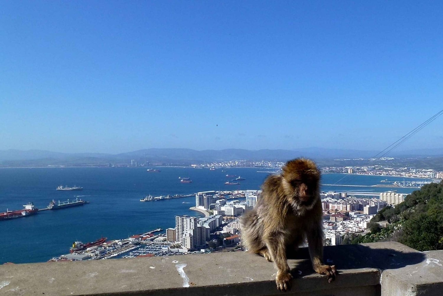 From Malaga: Private Gibraltar Highlights Day Trip