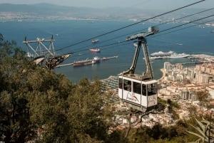 Ab Malaga: Privater Tagesausflug zu den Highlights von Gibraltar
