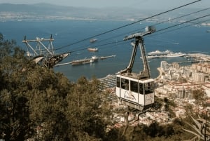 From Malaga: Private Gibraltar Highlights Day Trip