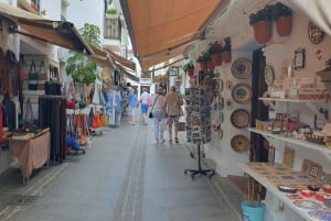 Desde Málaga: Excursión de un día con guía privada a Nerja y Frigiliana