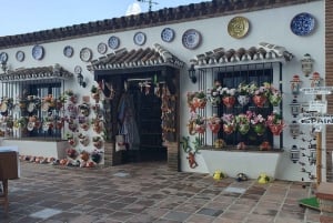 Vanuit Malaga: privétour met gids door Marbella, Mijas, Banús