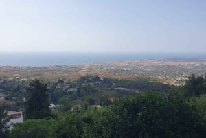 Da Malaga: Tour guidato privato di Marbella, Mijas, Banús